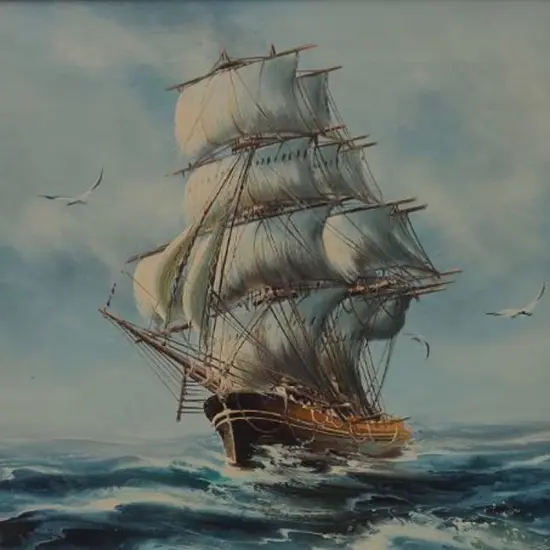 HYDEN - Sailing with Two Seagulls