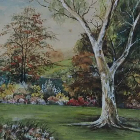 I.M.M. - Tree in Garden