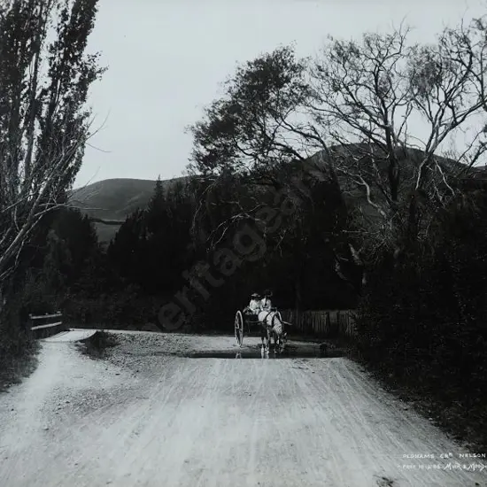 MUIR & MOODIE - photographers (1898-1916) - Oldham's Creek Nelson, 10th February 1906