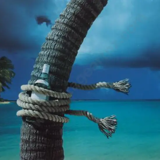 SIMPSON, Chris (1952-) - Island Breeze