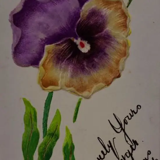 UNKNOWN Artist - Silk Pansy Christmas Postcard, 1906