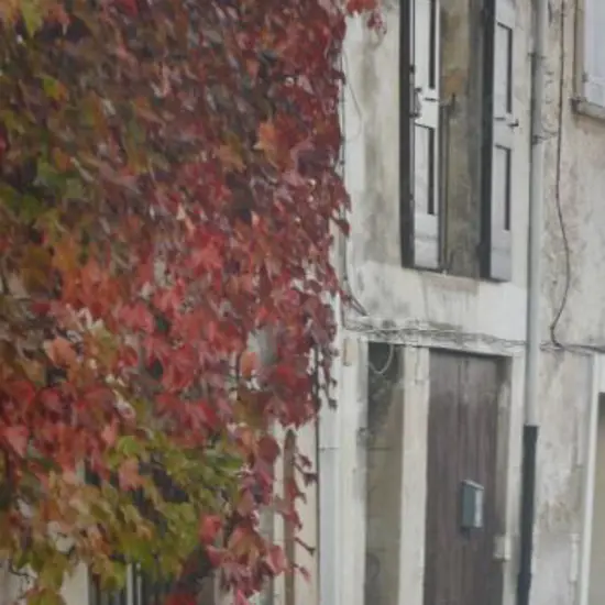 UNKNOWN - European Door with Autumn Leaves