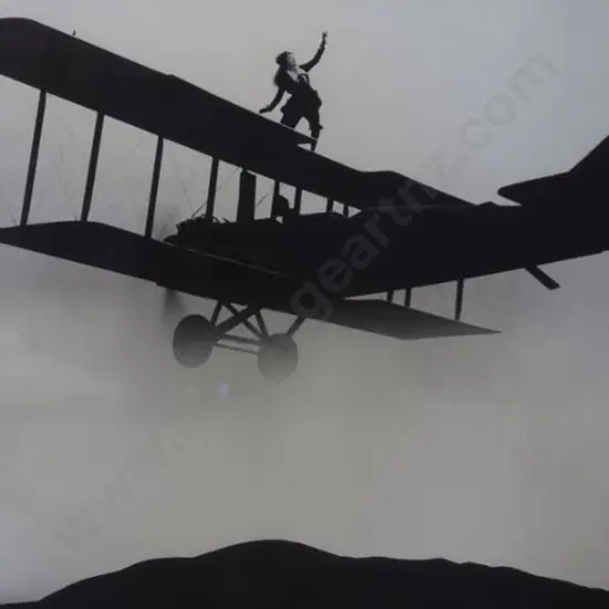 UNKNOWN artist - Woman Wing Walker