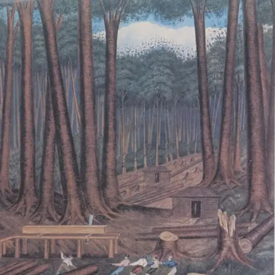 HEAPHY, Charles (1820-1881) - Kauri Tree Felling and Milling 1839