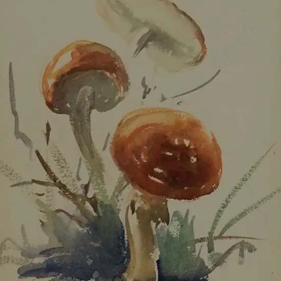 WISEMAN, Hilda (1894-1984) - Funky Funghi (Mushrooms)