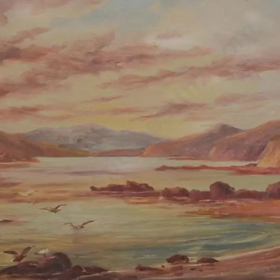 NICHOLSON, John Howard (1855-1930) - Gulls in Bay