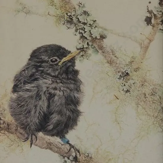 CHING, Raymond Harris (1939-) - Bird Study (ornate gilt frame)