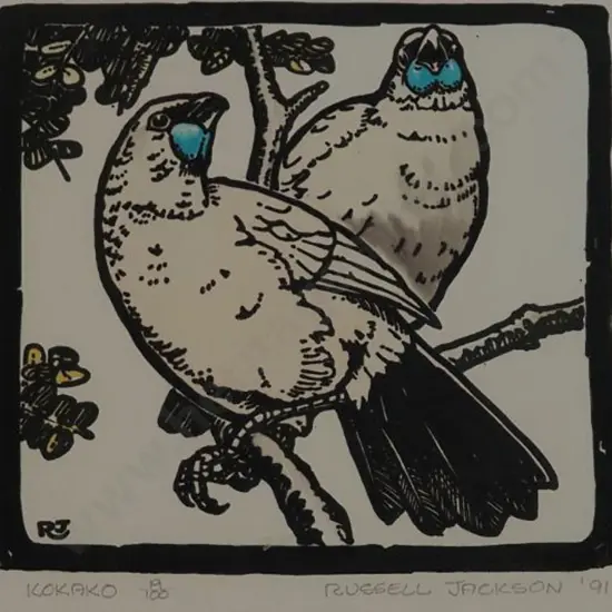 JACKSON, Russell M. (1947-) - Kokako