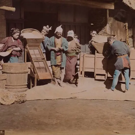 UNKNOWN Photographer - Cleaning Rice