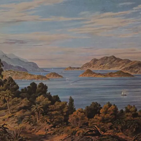 BARRAUD, Charles Decimus (1822-1897) - Port Chalmers