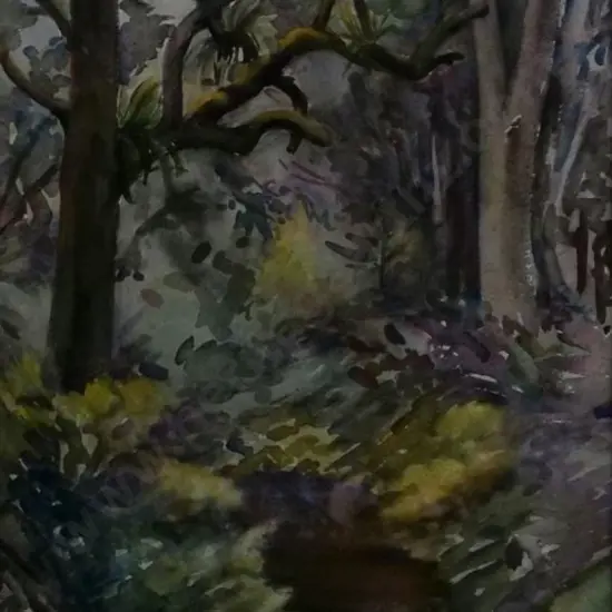 GILBERT, May (1901-1977) - Bush Track - New Zealand