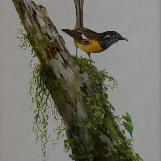 PAPPS, Ernest Albert (1910-2001) - Stitchbird