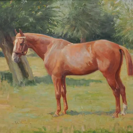 WHITEMAN. Violet Emily (1873-1952) - Standing Horse in Field, c. 1907
