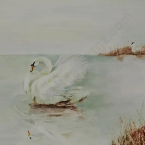 BARIV, J. - White Swan on Lake