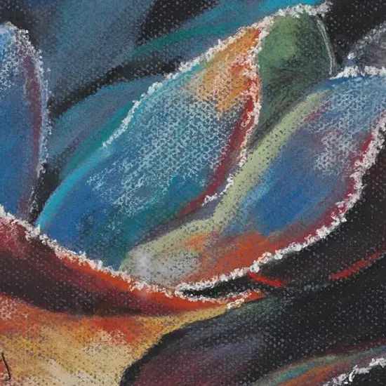 ASHLEY, Elizabeth M. - Winter Splendour (Frost on Bergenias)