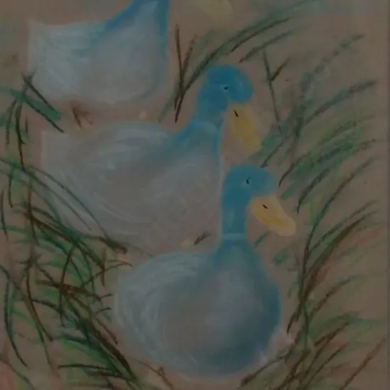 B, Pearl - Three Ducks