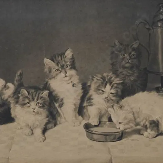 UNKNOWN photographer - Six Frolicking Kittens