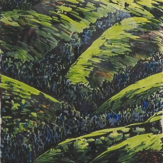 LOCKE-FORBES, Jenny (21st Cent.) - High Country