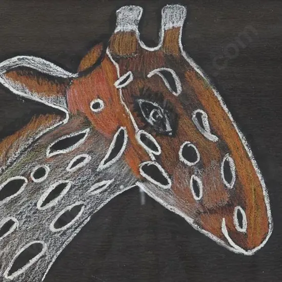 BENSON, Chloe - Head of a Giraffe