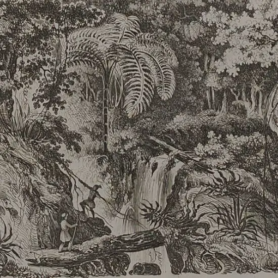 SAINSON, Louis de (1800-1874) - Ravine in New Zealand c. 1838