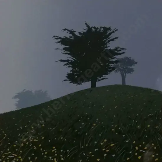 McDONALD, M.A. (20th Cent.) - Macrocarpas