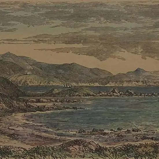 BARRAUD, Charles Decimus (1822-1897) - Entrance to Wellington Harbour