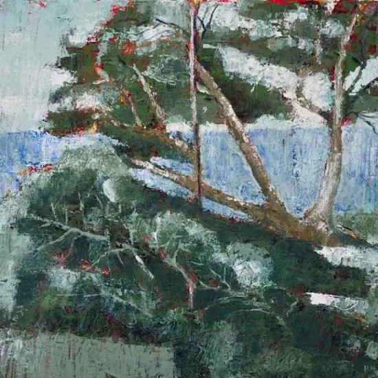 P.N.M (Initials) - Trees in Landscape (abstract)