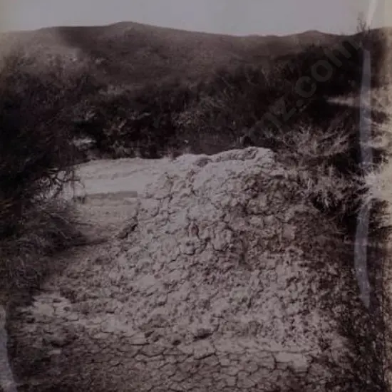 MARTIN, Josiah (1843-1916) - Beehive Cone, c.1890