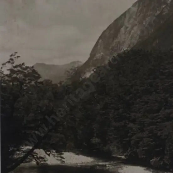 UNKNOWN Photographer - On the Manapouri, Doubtful Track, c. 1900