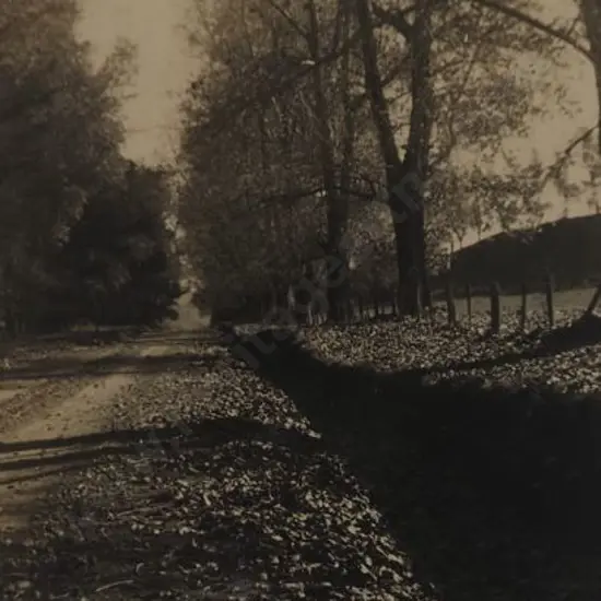 UNKNOWN - Autumn Leaves