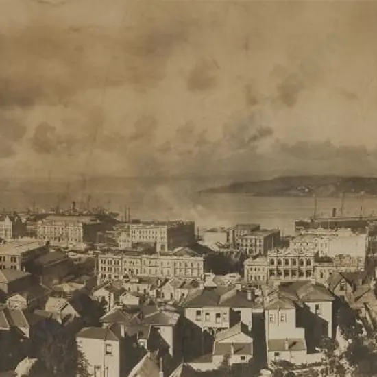 UNKNOWN - Wellington Panorama (ex Hardwicke Knight Collection)
