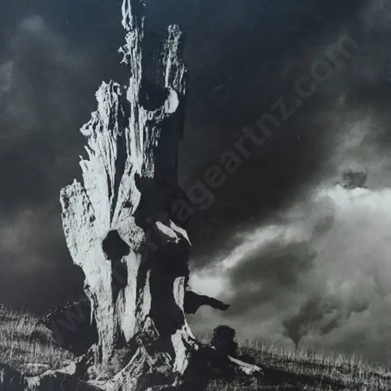 LEWTHWAITE, E.W.G. - Defiant (old Tree)
