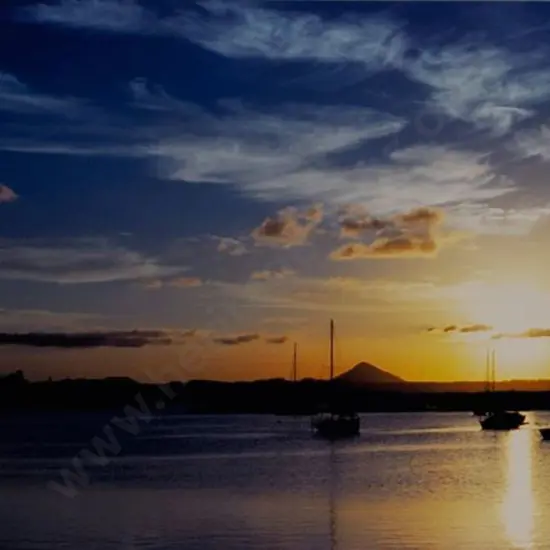 ARNSON, D. - Noosa, Queensland