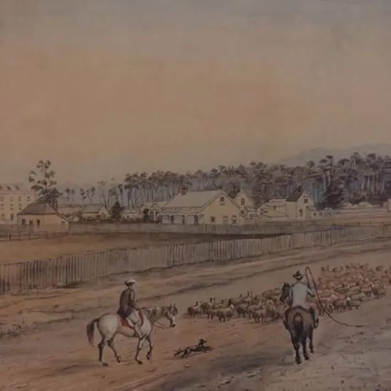 AUBREY, Christopher (Active 1876-1906) - Masterton in the Wairarapa 1891