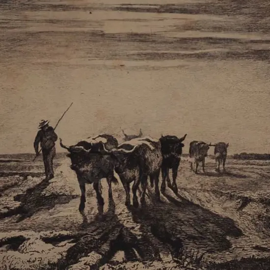 UNKNOWN artist - Drover and Cattle