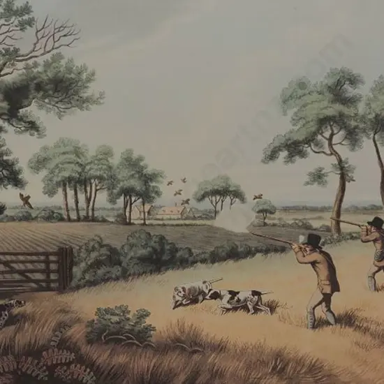 HOWITT, Samuel (1756-1822) - Partridge Shooting 11