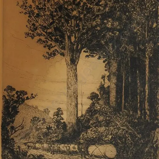 PAYNE, David John (1880-1959) - Monarch of the Bush - Kauri