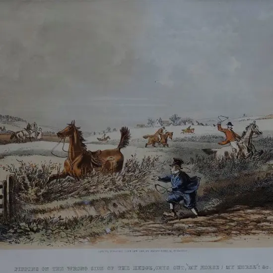 BROWNE, Hablot Knight (1815-1882) - Pippins on the Wrong Side of the Hedge