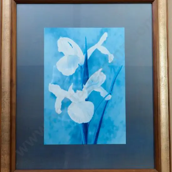 UNKNOWN Artist - White Irises