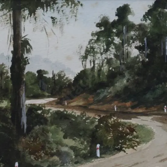 SWIFT, Rena (1931-) - Winding Road, Coromandel Hills