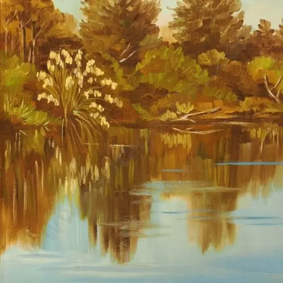 TURNER, Rose - Reflections, Tauranga Taupo Stream, 1982