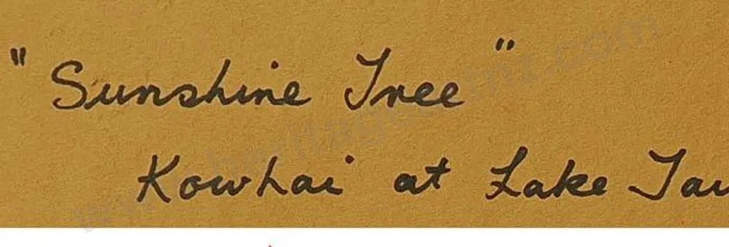 TURNER, Rose - Sunshine Tree. Kowhai, Lake Taupo Image 1++