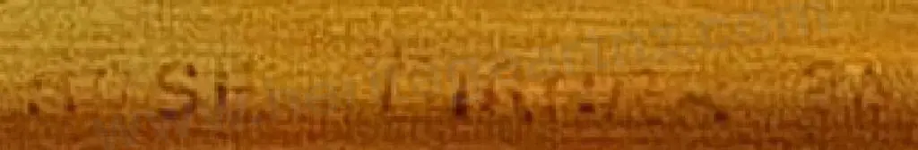 TURNER, Rose - Sunshine Tree. Kowhai, Lake Taupo Image 1++