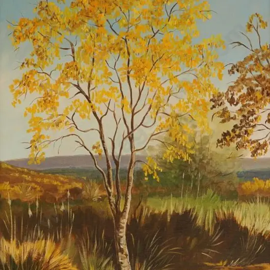 TURNER, Rose - Sunshine Tree. Kowhai, Lake Taupo