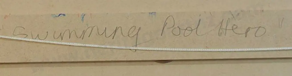 FELTHAM, Lee (-2023) - Swimming Pool Hero Image 1++