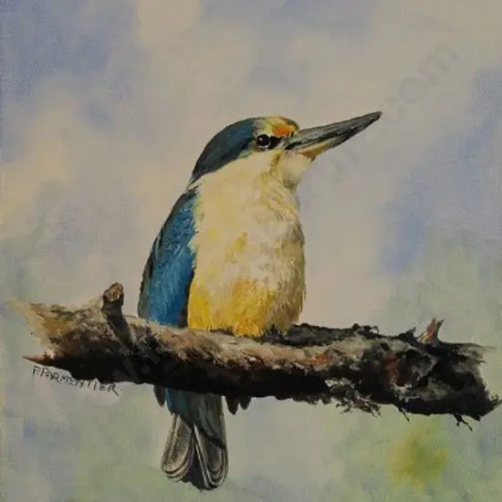 PARMENTIER, Fern - Kingfisher