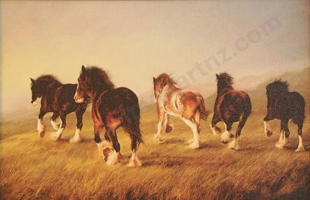 UNKNOWN Artist - Horses Running Wild - possibly Waiouru Area Image 1++