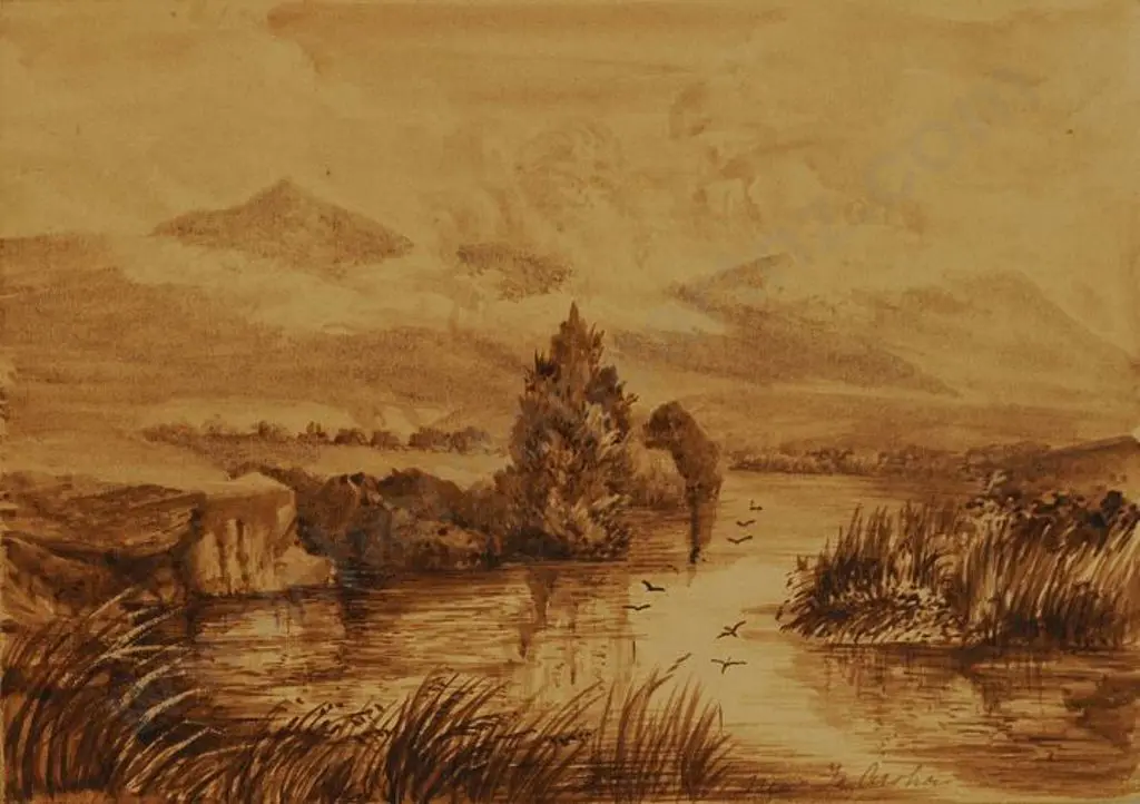 UNKNOWN - Te Aroha c.1889 Image 1++