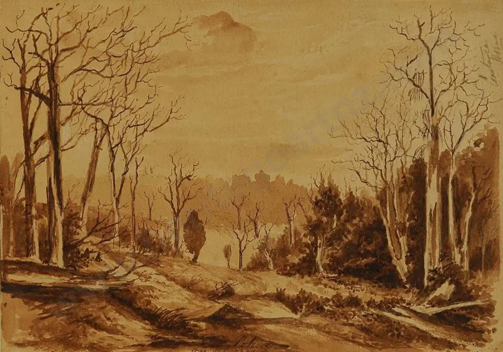 UNKNOWN - Te Aroha c.1889 Image 1++