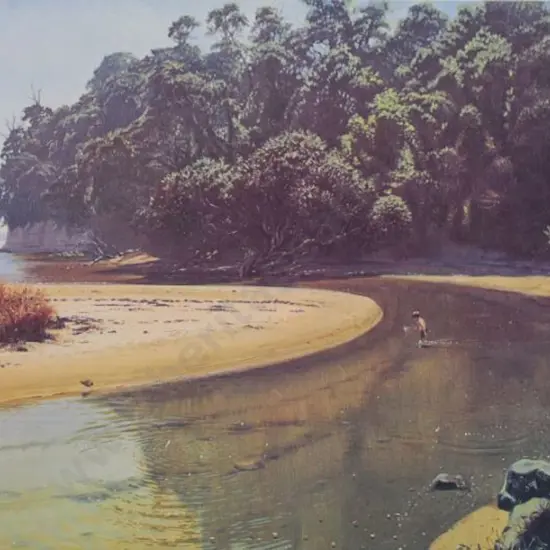 BRADDOCK, Graham (1942-) - Sunday Afternoon, Stanmore Bay, Auckland